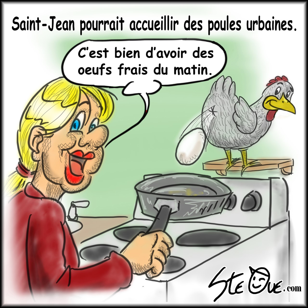 Image du Cours